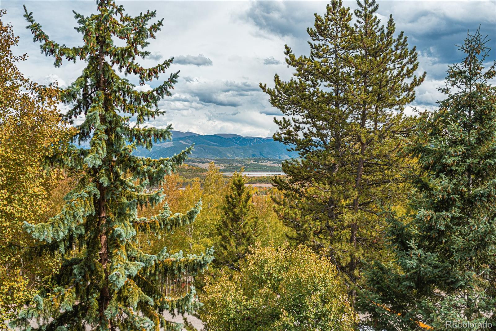 MLS Image #22 for 7222  ryan gulch road,silverthorne, Colorado