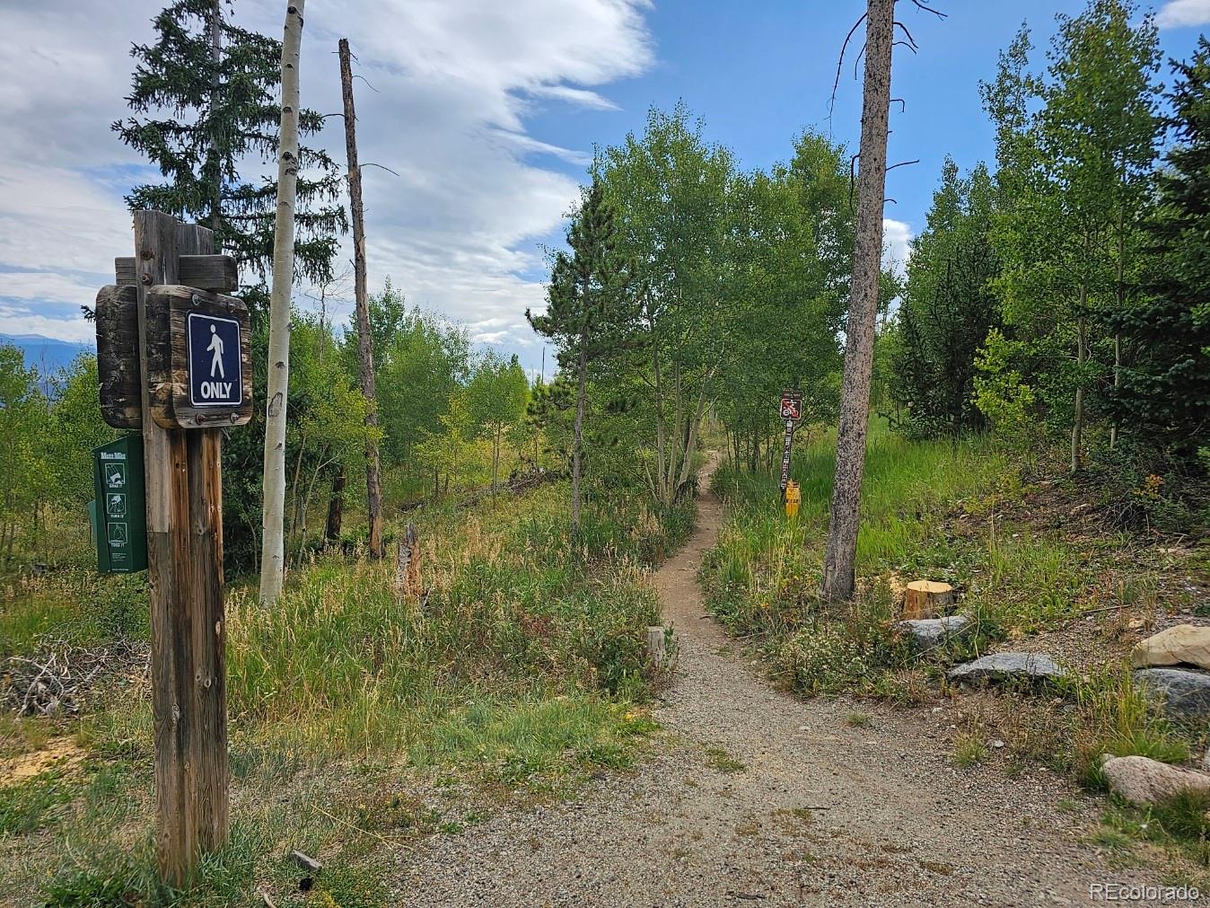 MLS Image #24 for 7222  ryan gulch road,silverthorne, Colorado