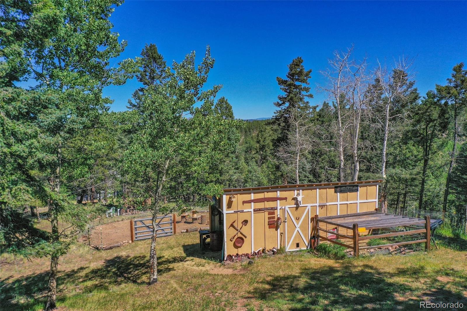 MLS Image #9 for 292  quartz road,florissant, Colorado