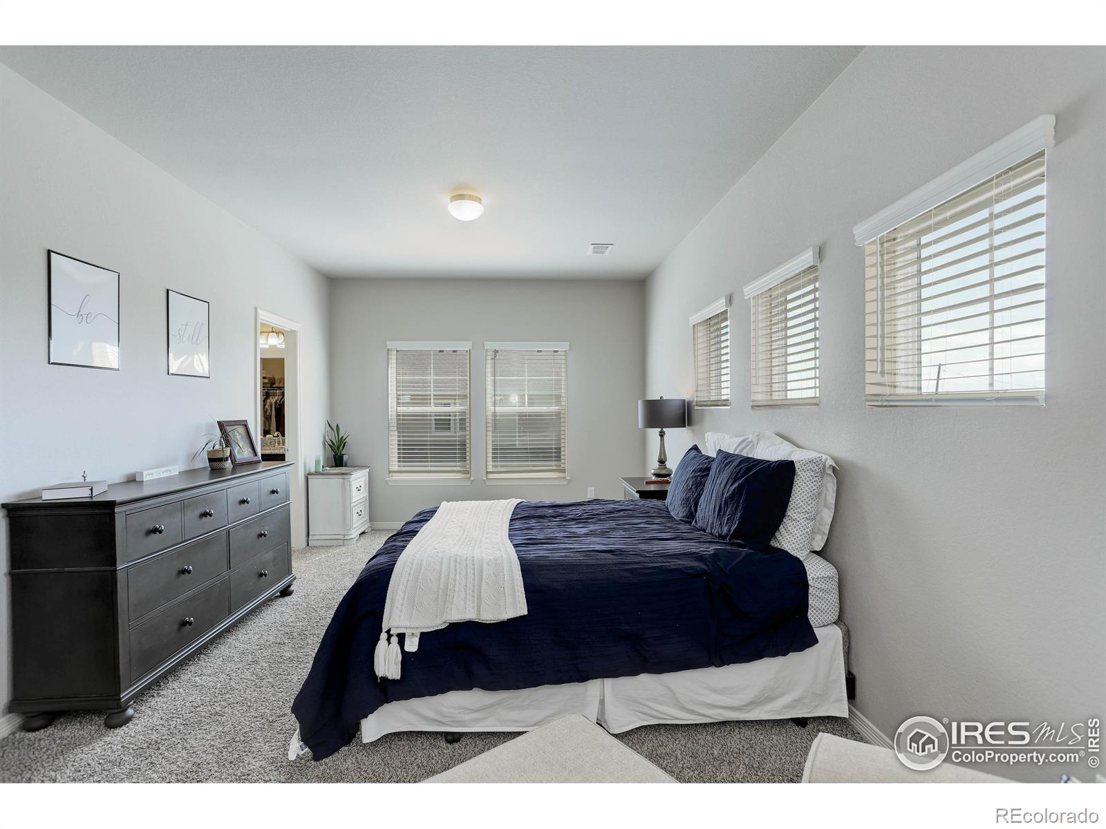 MLS Image #20 for 1692  grand avenue,windsor, Colorado