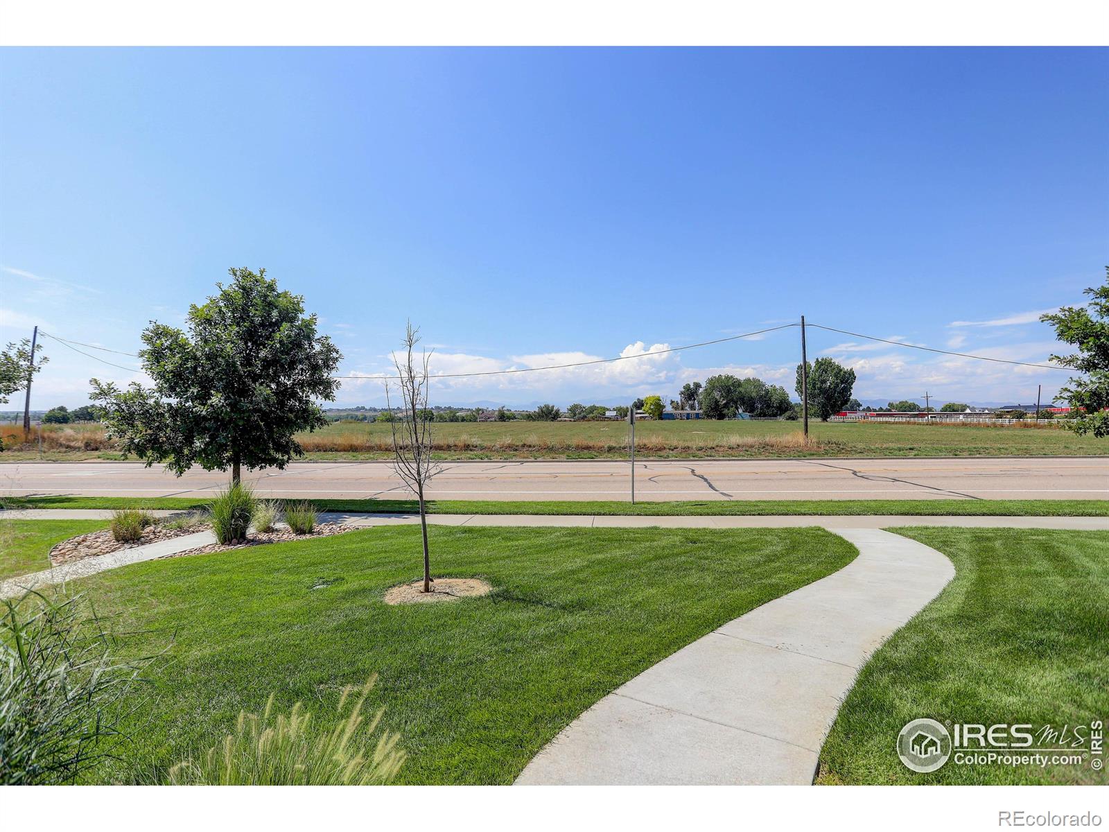 MLS Image #3 for 1692  grand avenue,windsor, Colorado