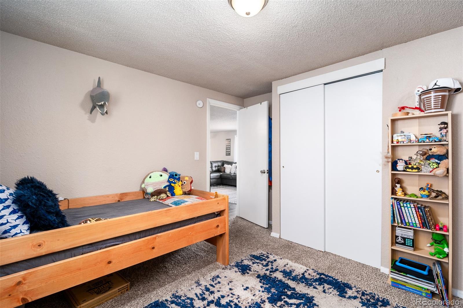 MLS Image #18 for 1240  nez perce drive,colorado springs, Colorado