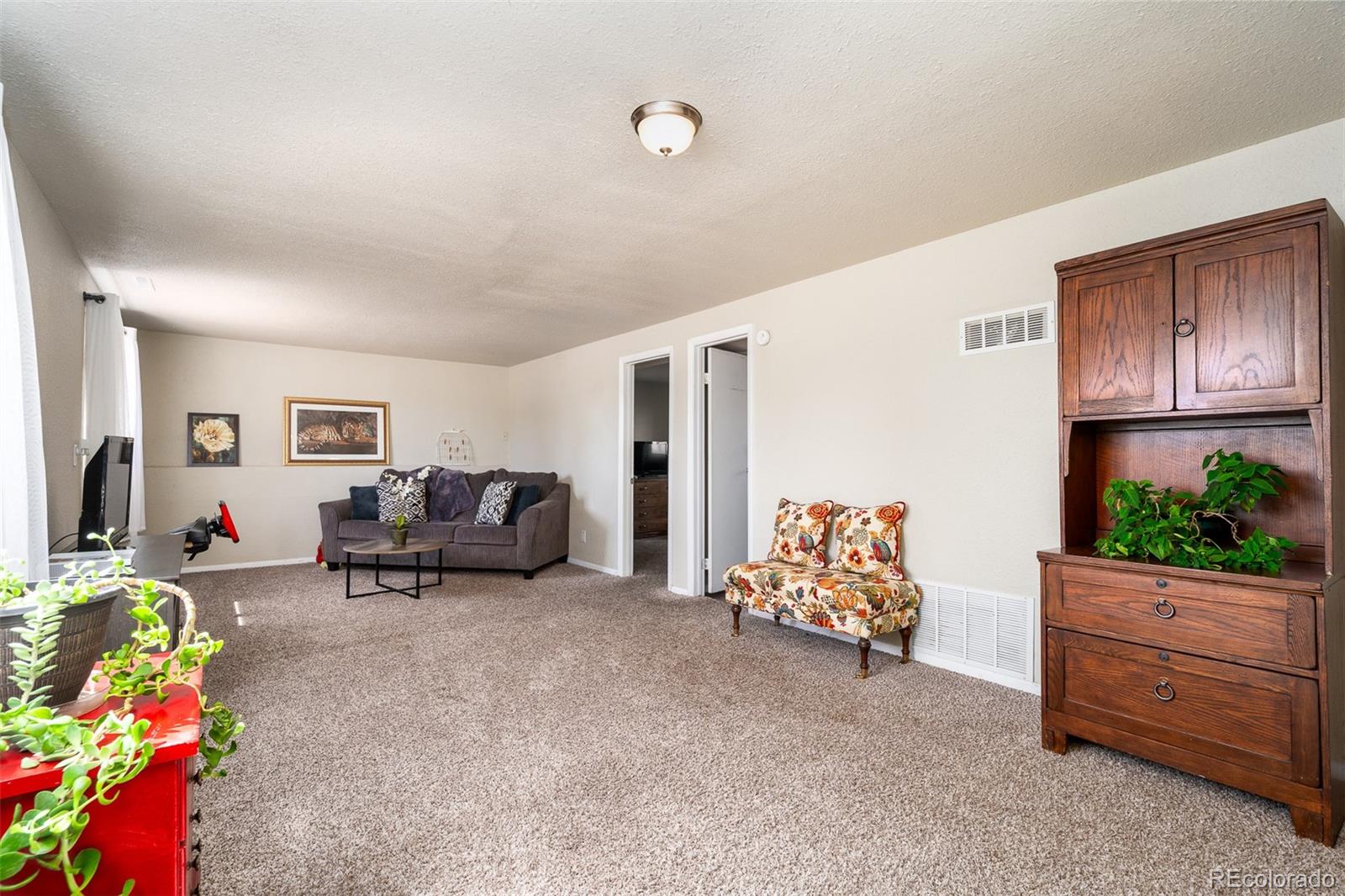 MLS Image #21 for 1240  nez perce drive,colorado springs, Colorado