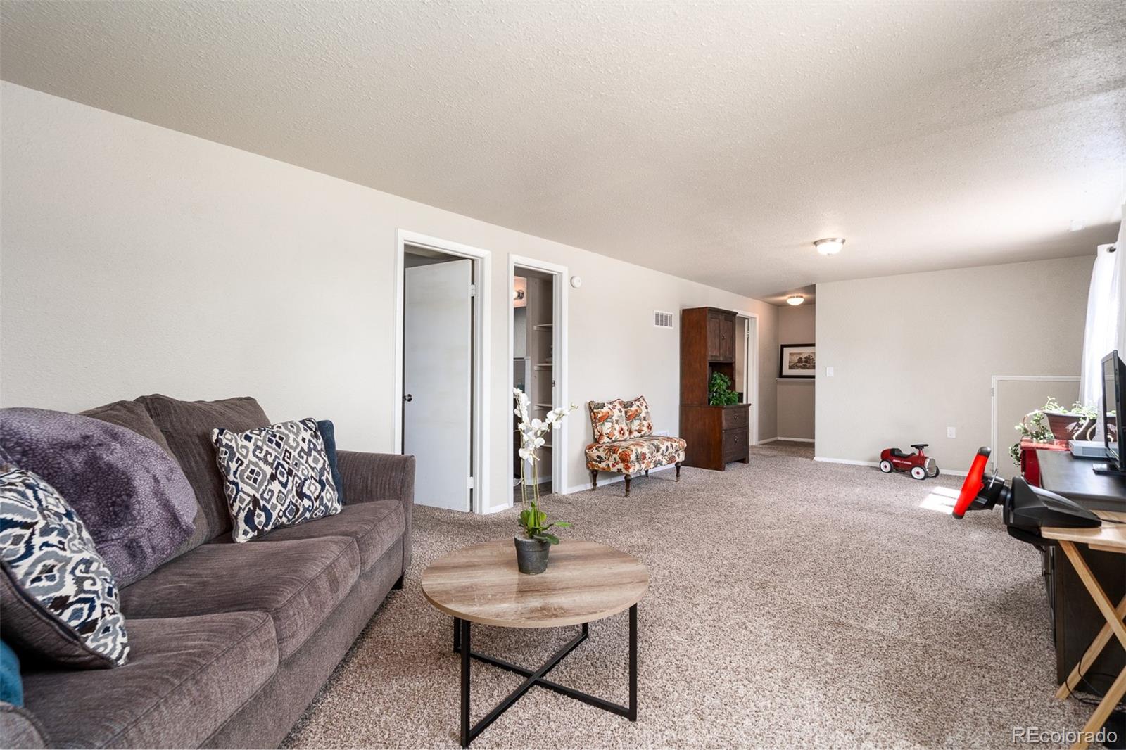 MLS Image #22 for 1240  nez perce drive,colorado springs, Colorado