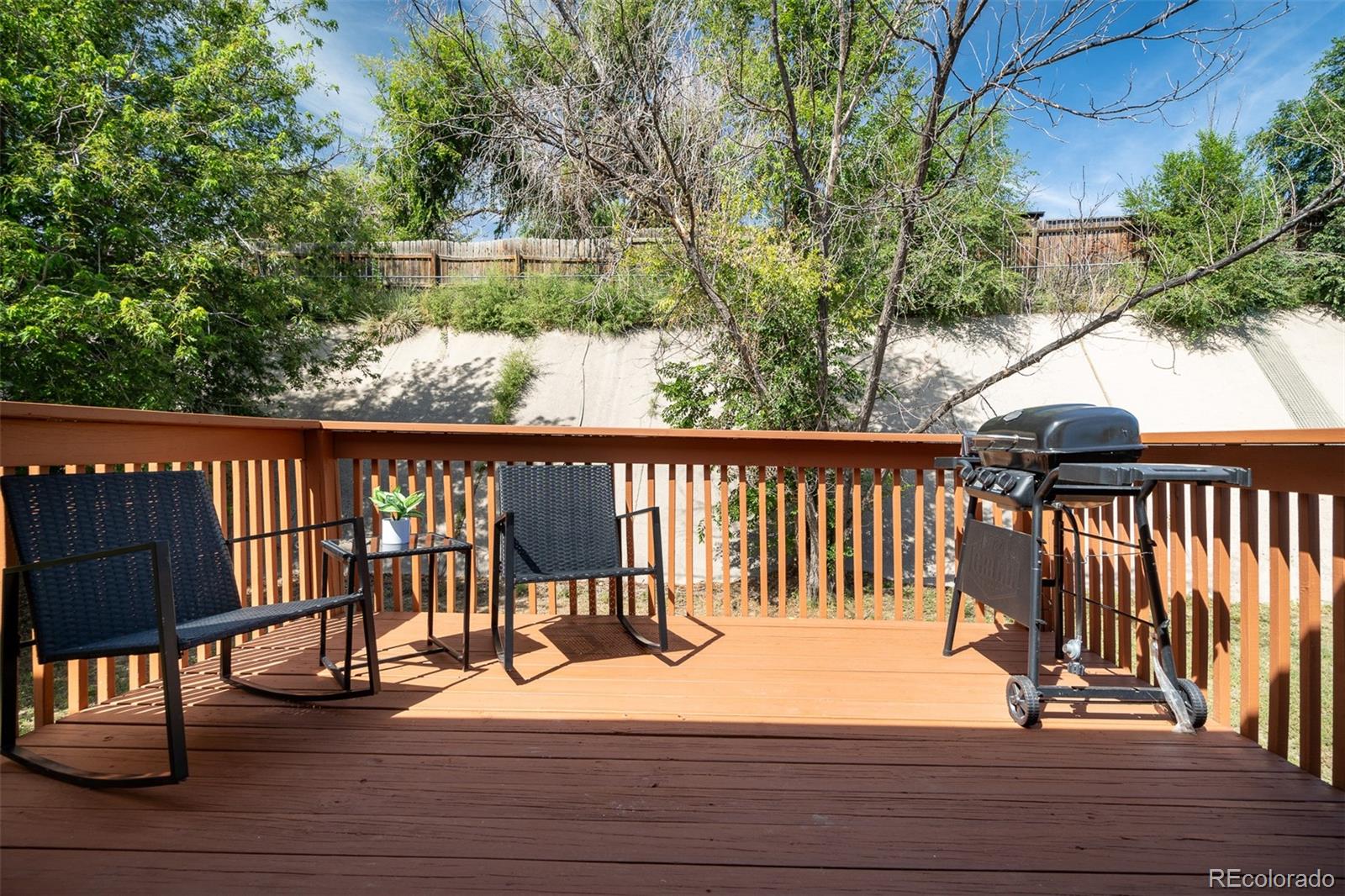 MLS Image #28 for 1240  nez perce drive,colorado springs, Colorado