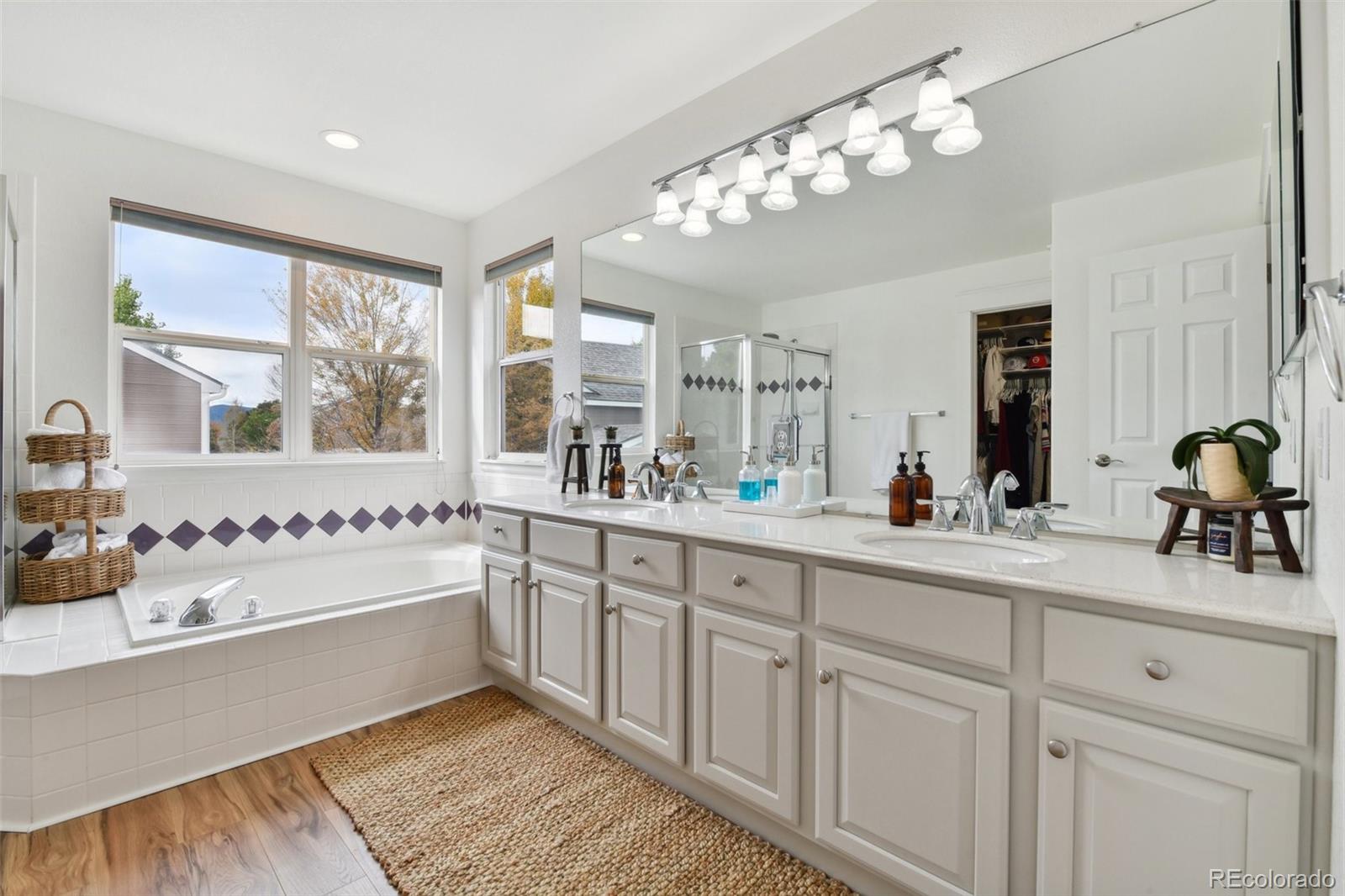 MLS Image #27 for 1819  spring water lane,highlands ranch, Colorado