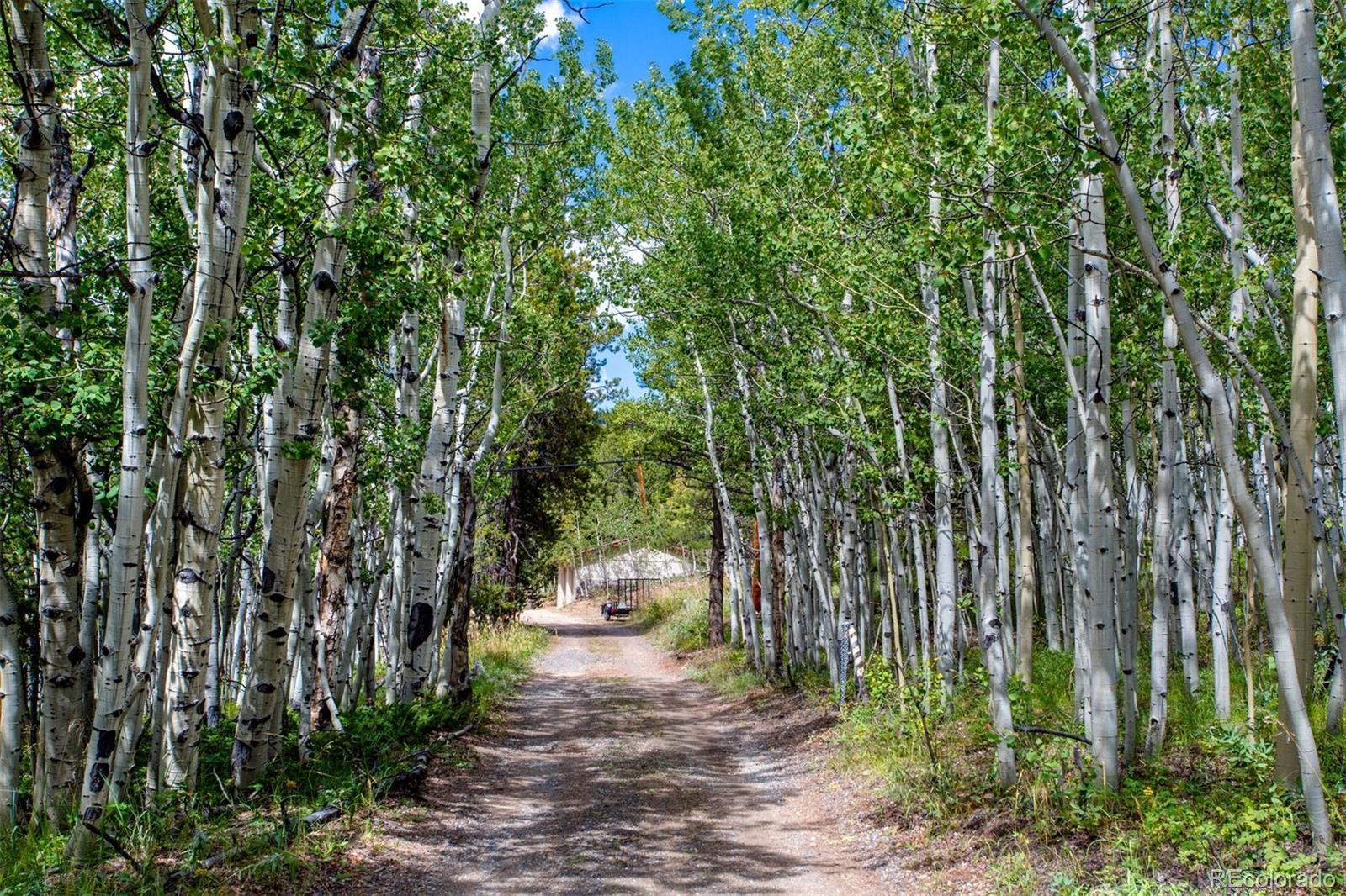 MLS Image #8 for 421  badger road,black hawk, Colorado