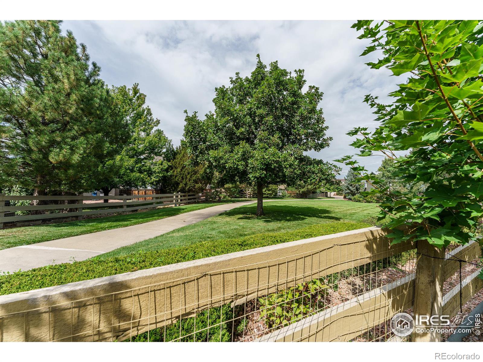 MLS Image #34 for 1419  aster court,superior, Colorado