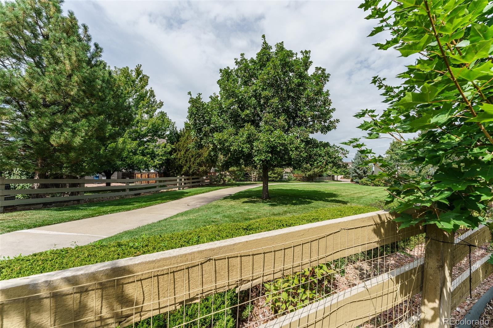 MLS Image #34 for 1419  aster court,superior, Colorado