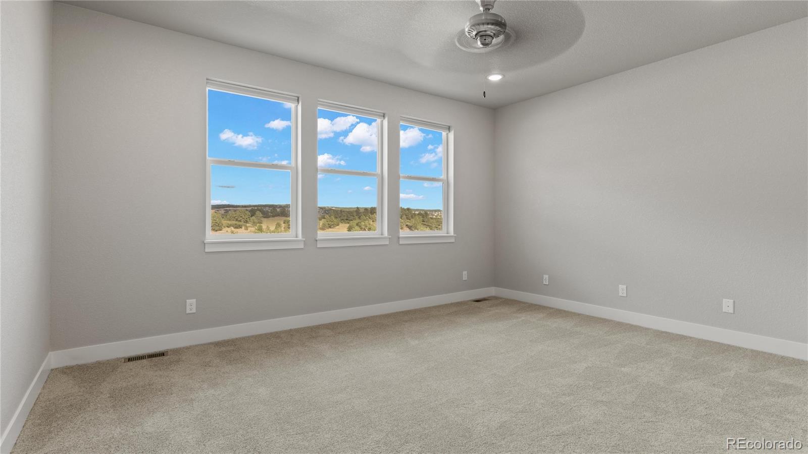 MLS Image #35 for 15692  native willow drive,monument, Colorado