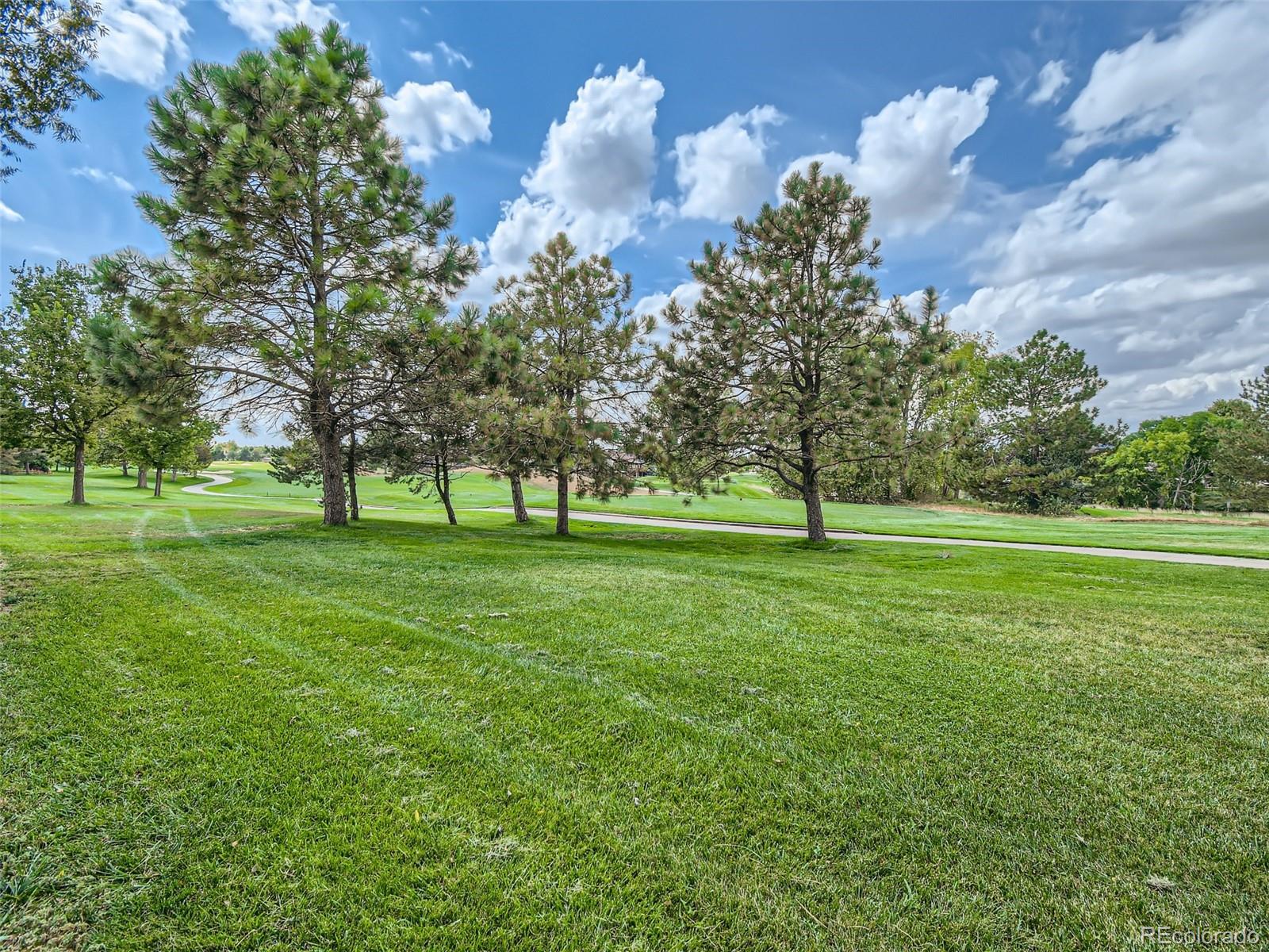 MLS Image #29 for 13565  high circle,thornton, Colorado