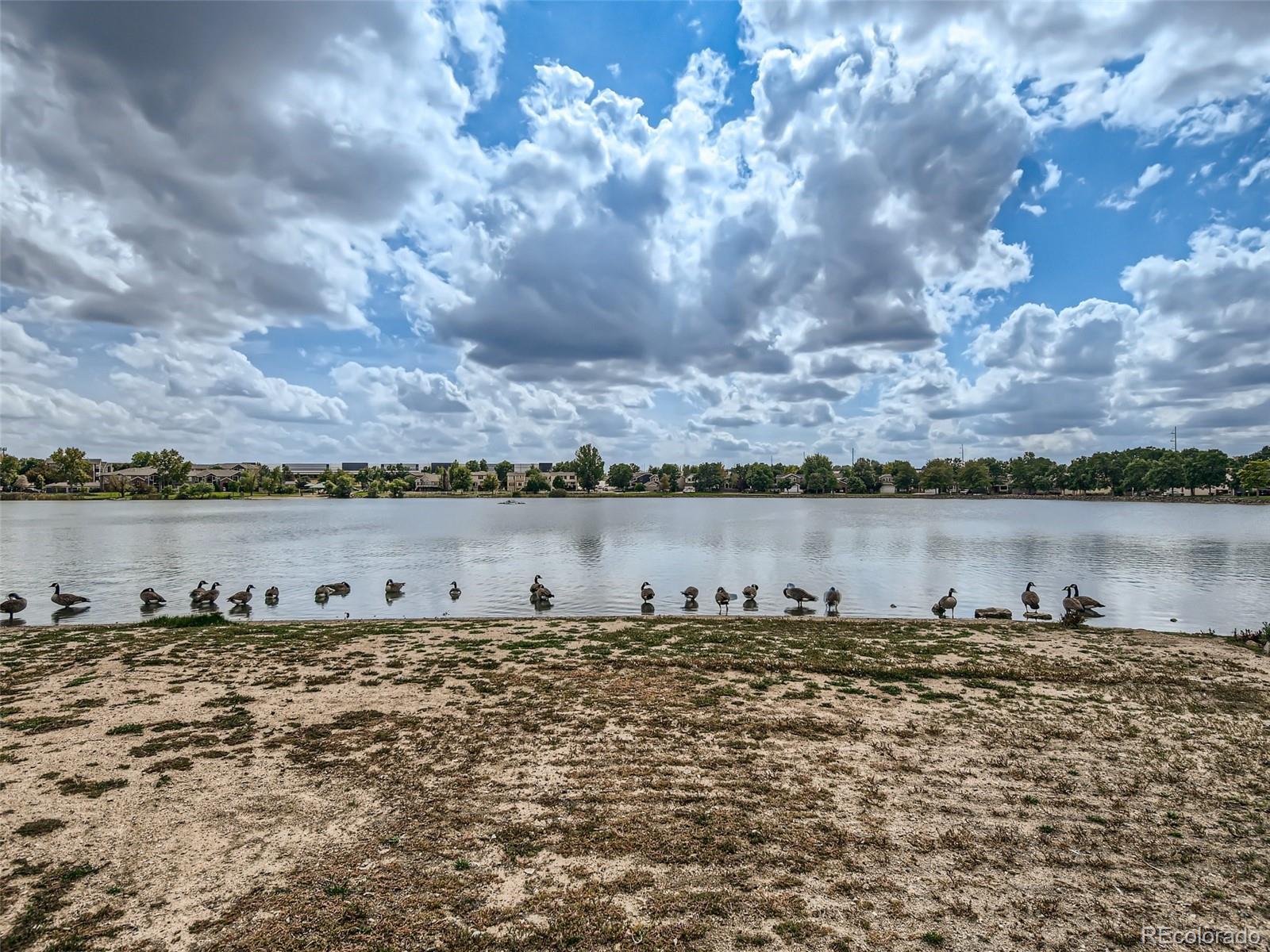 MLS Image #34 for 13565  high circle,thornton, Colorado