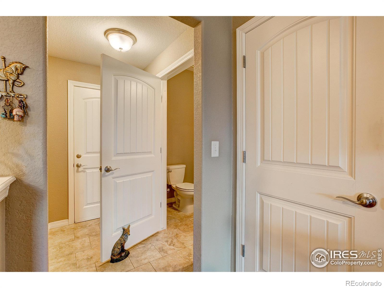 MLS Image #18 for 3009  knolls end drive,fort collins, Colorado