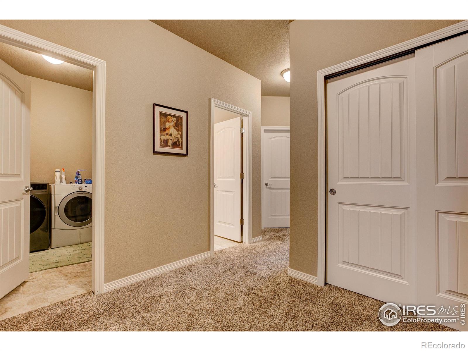 MLS Image #19 for 3009  knolls end drive,fort collins, Colorado