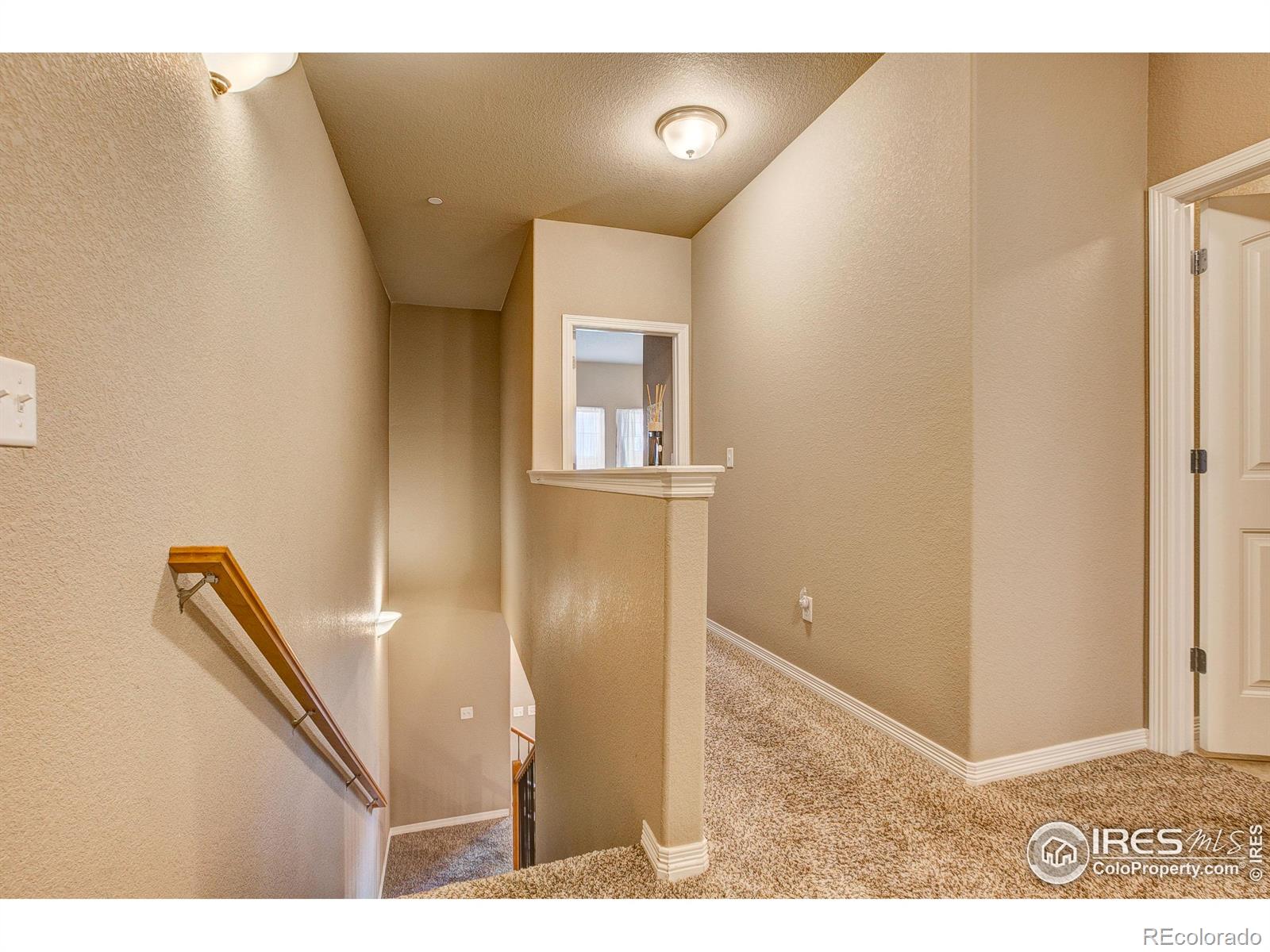 MLS Image #21 for 3009  knolls end drive,fort collins, Colorado