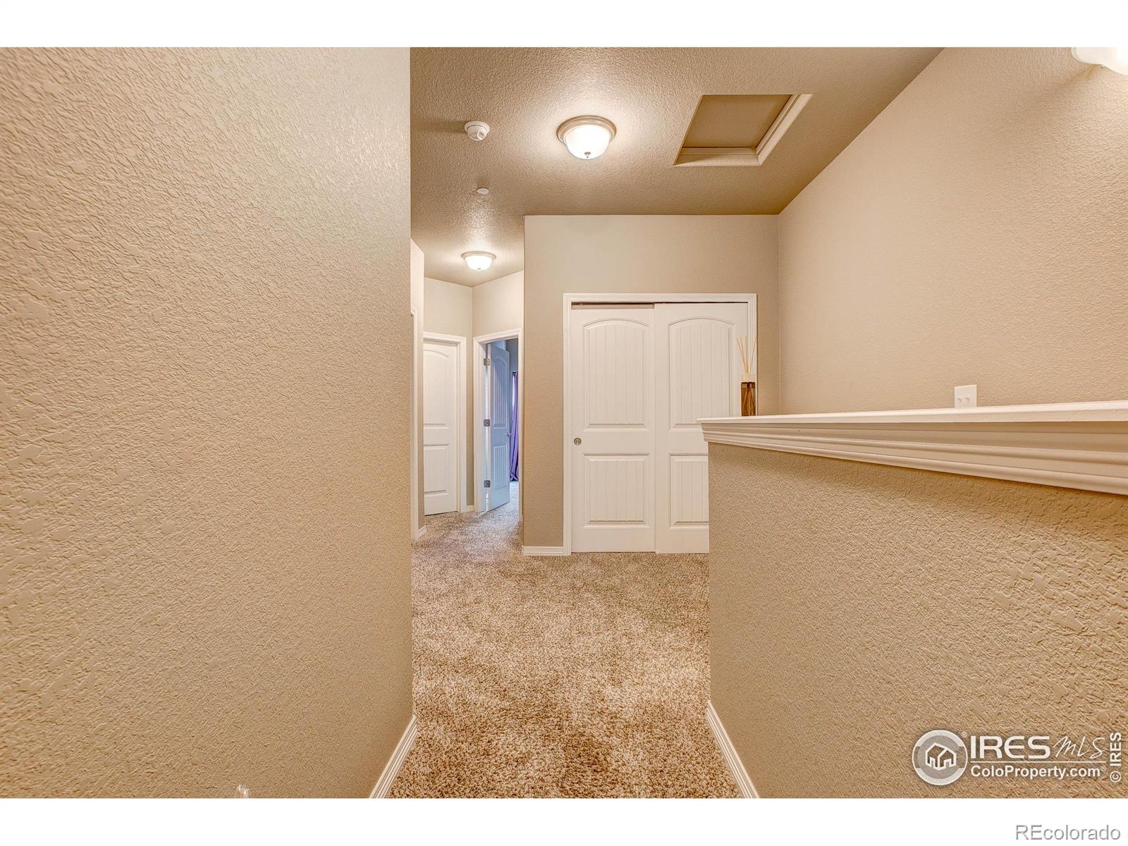 MLS Image #28 for 3009  knolls end drive,fort collins, Colorado