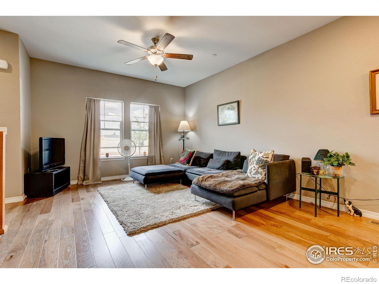 MLS Image #9 for 3009  knolls end drive,fort collins, Colorado