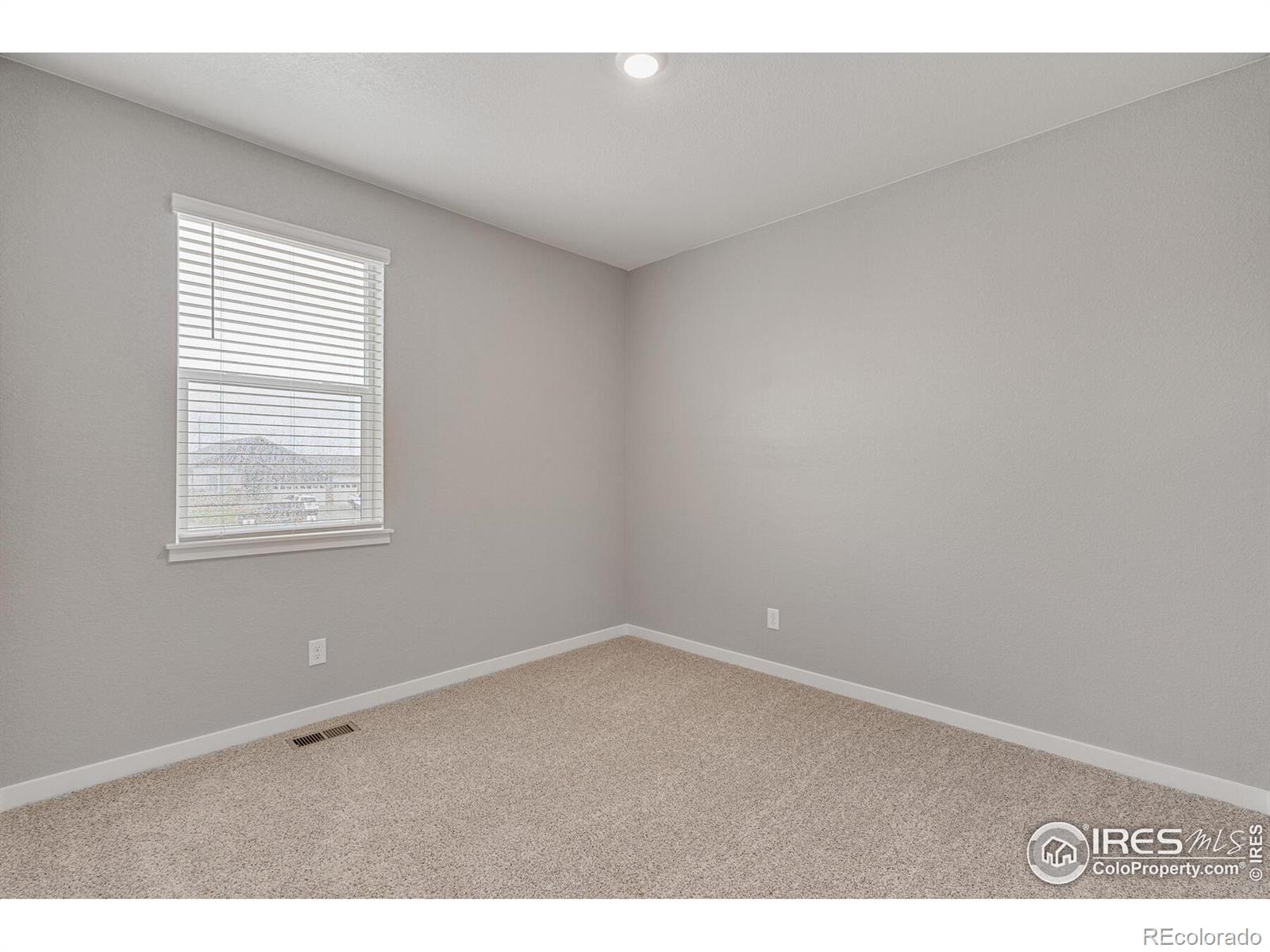 MLS Image #14 for 4993  alur street,windsor, Colorado