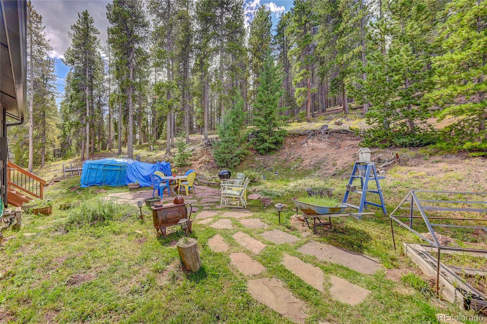 MLS Image #18 for 8859  black mountain drive,conifer, Colorado