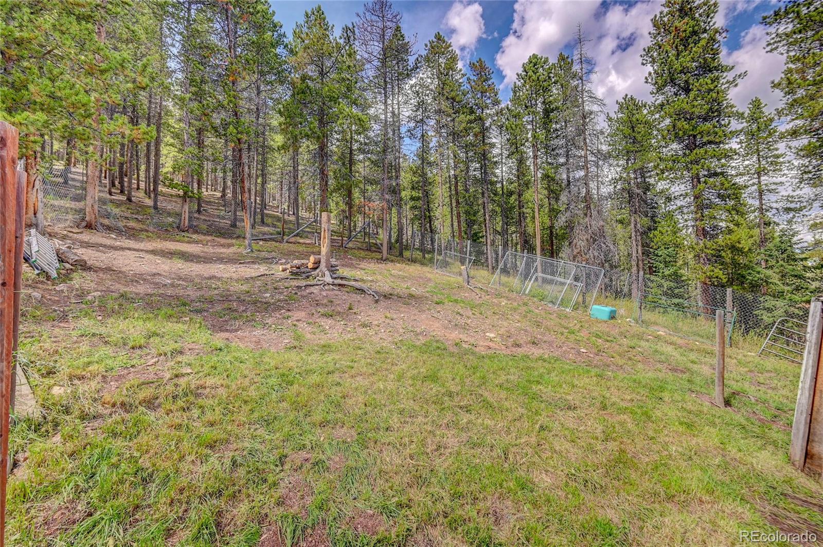 MLS Image #21 for 8859  black mountain drive,conifer, Colorado