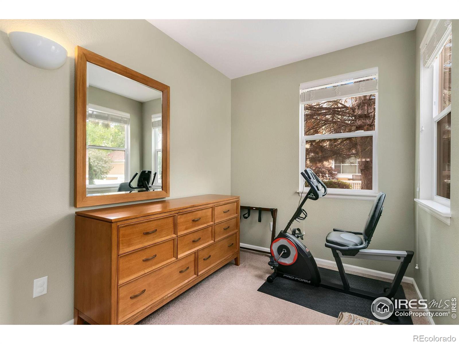 MLS Image #8 for 2035  grays peak drive,loveland, Colorado