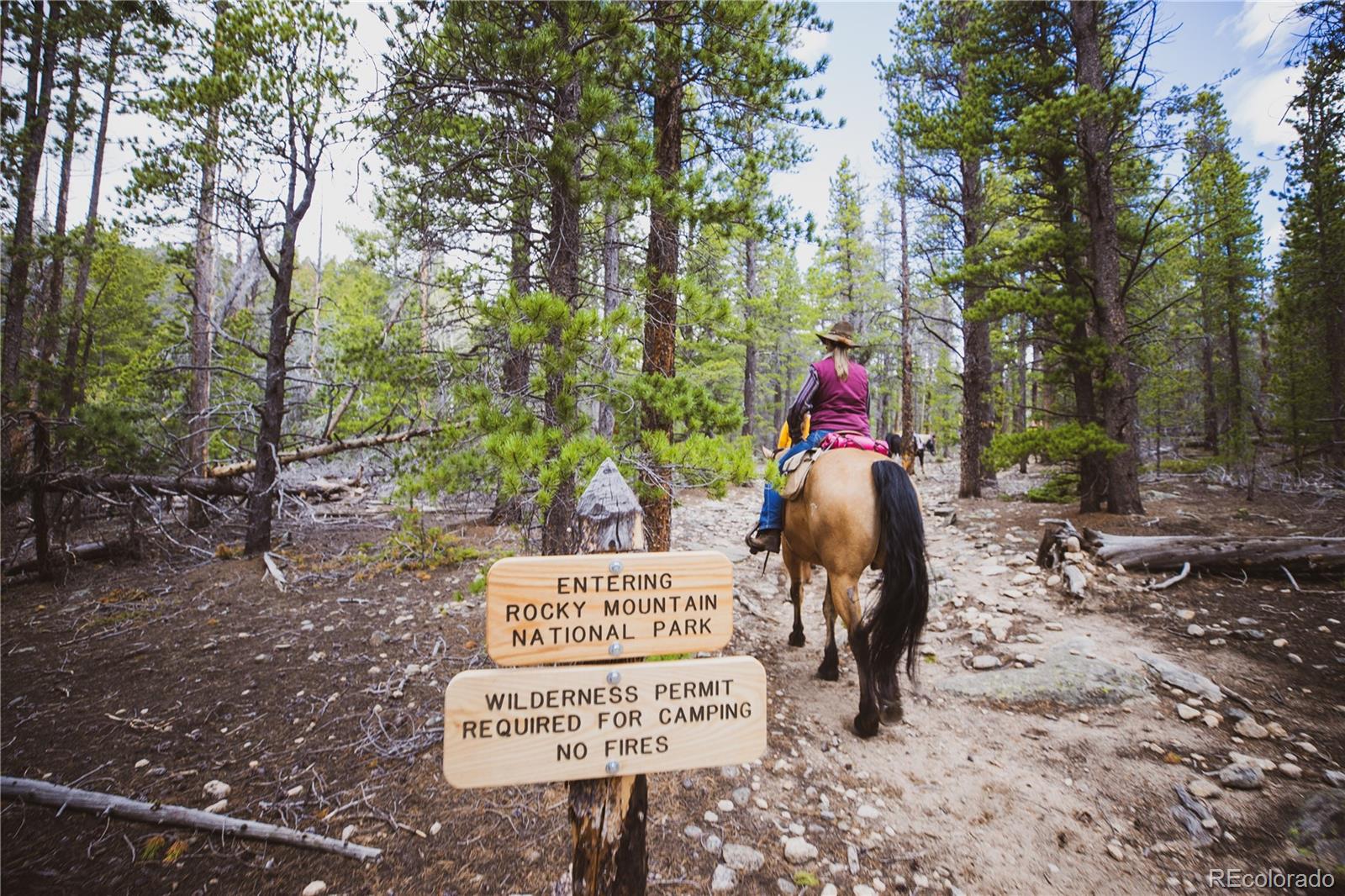 MLS Image #3 for 11700  peak to peak highway,allenspark, Colorado