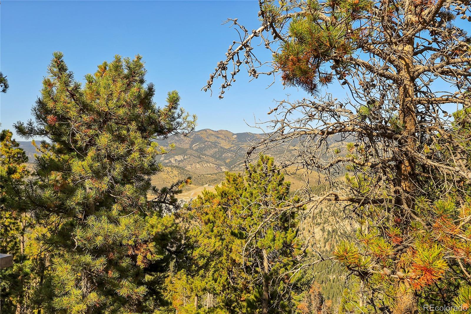 MLS Image #22 for 754  saddle ridge drive,evergreen, Colorado