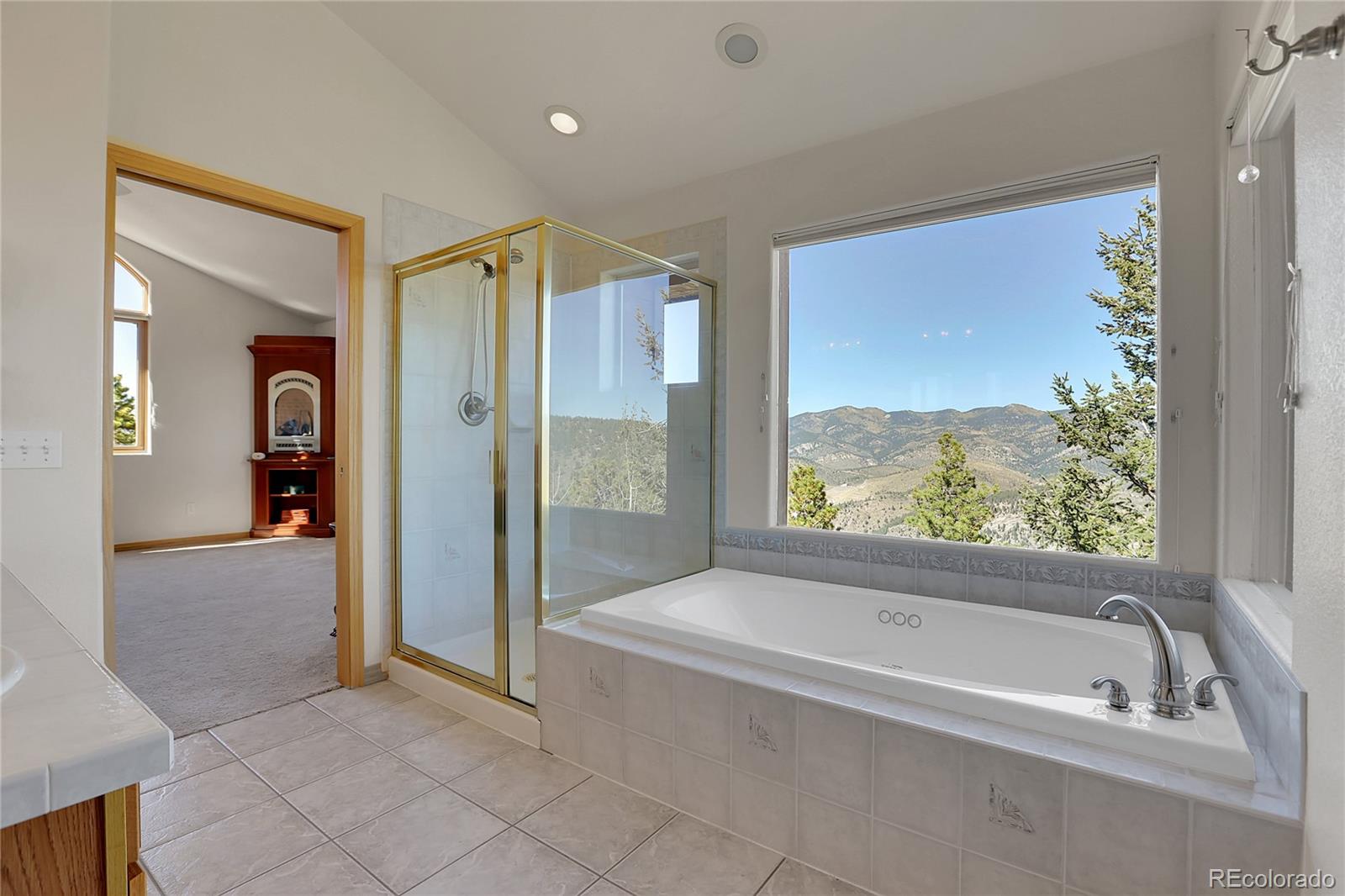 MLS Image #36 for 754  saddle ridge drive,evergreen, Colorado