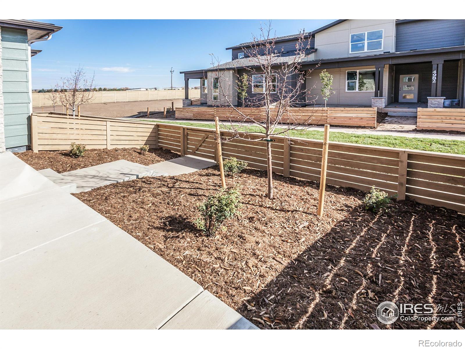 MLS Image #4 for 4962  denys drive,timnath, Colorado