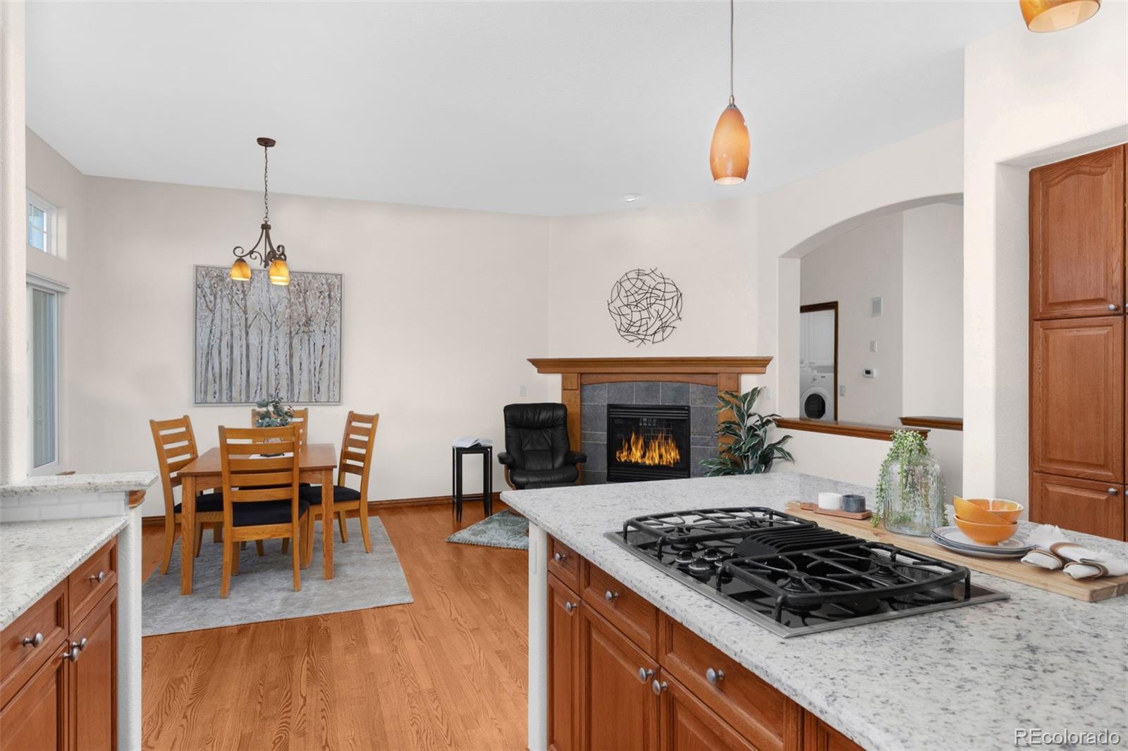 MLS Image #13 for 1554  peninsula circle,castle rock, Colorado