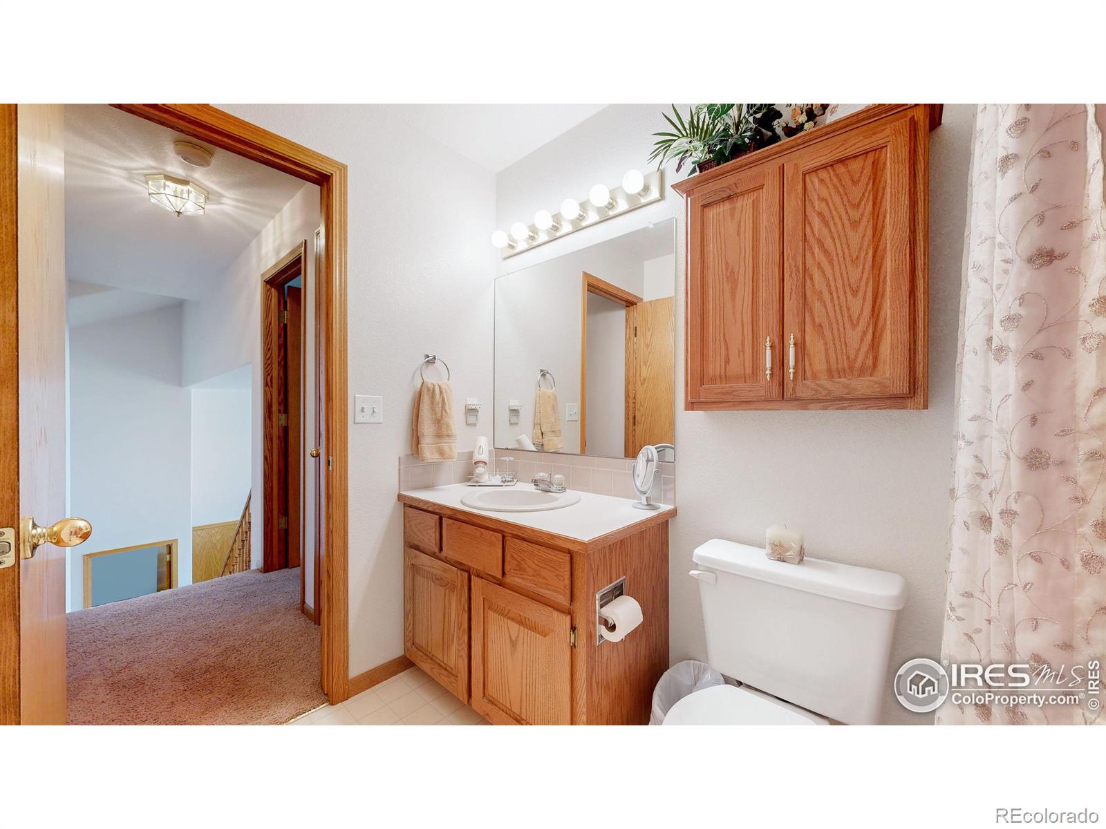 MLS Image #17 for 4789  patmore ash drive,loveland, Colorado