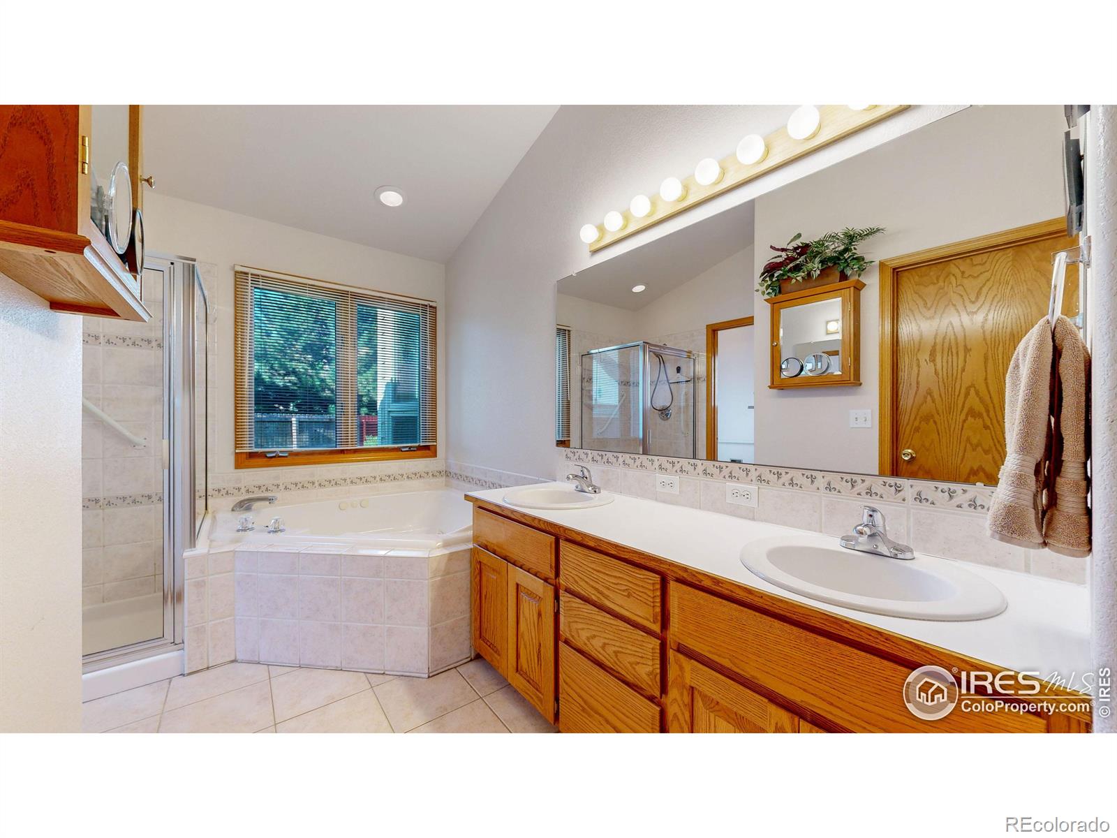 MLS Image #8 for 4789  patmore ash drive,loveland, Colorado