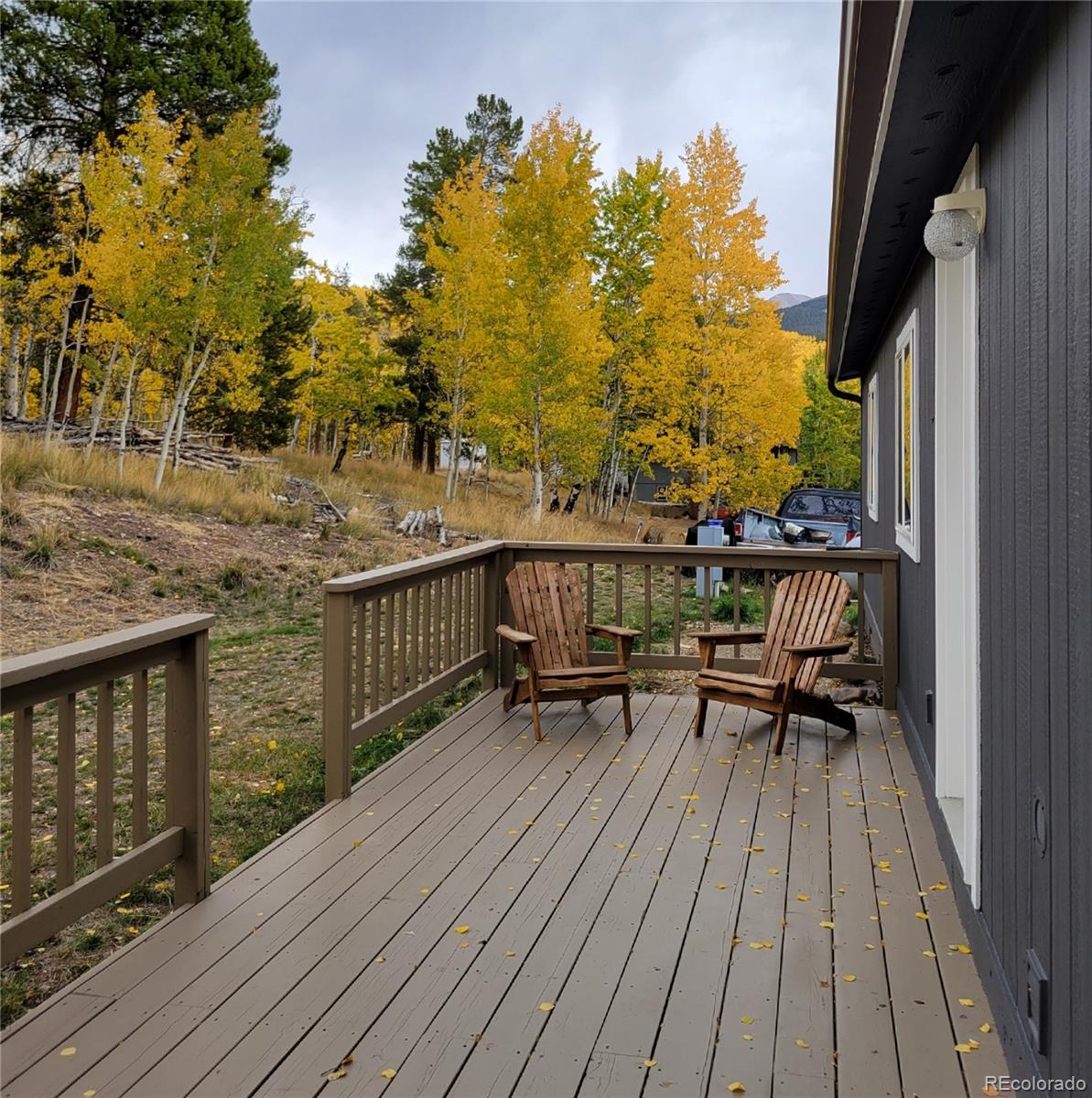 MLS Image #20 for 105  mallard road,leadville, Colorado