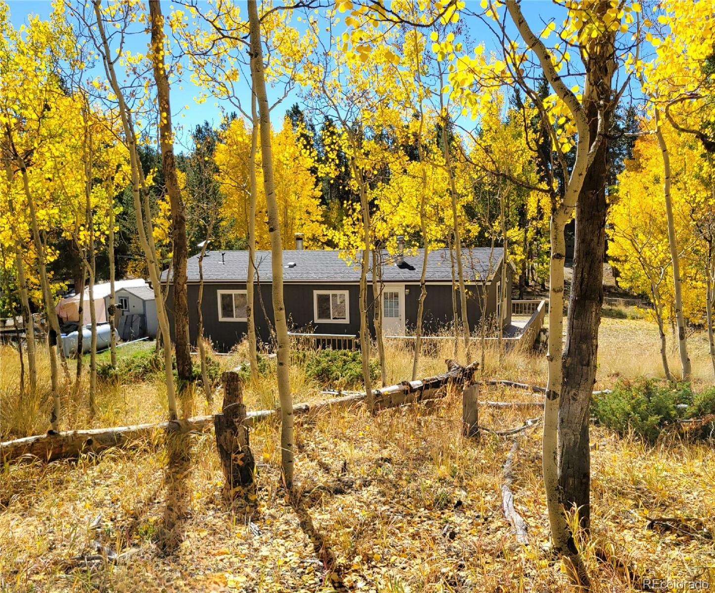 MLS Image #23 for 105  mallard road,leadville, Colorado