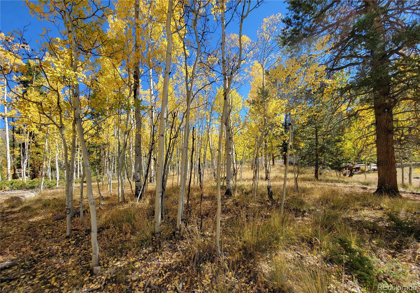 MLS Image #25 for 105  mallard road,leadville, Colorado