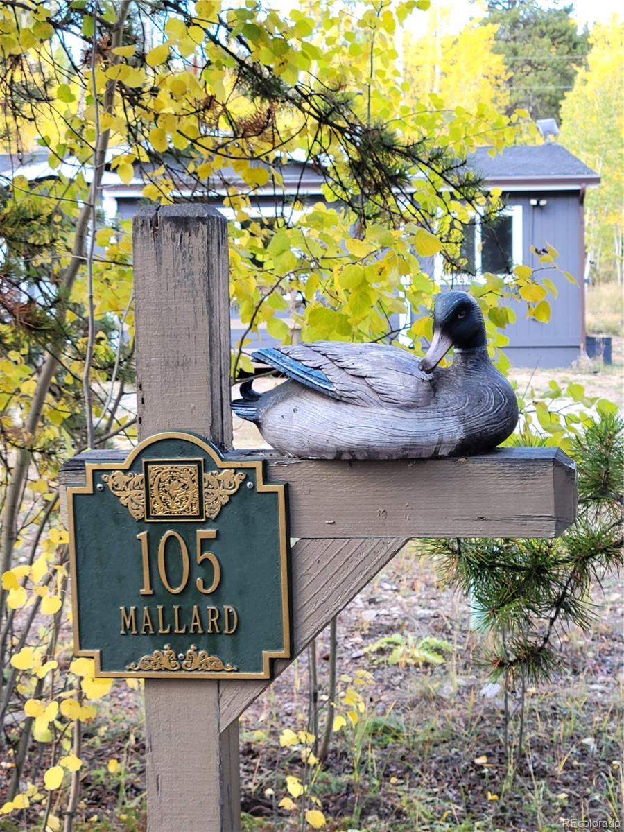 MLS Image #3 for 105  mallard road,leadville, Colorado