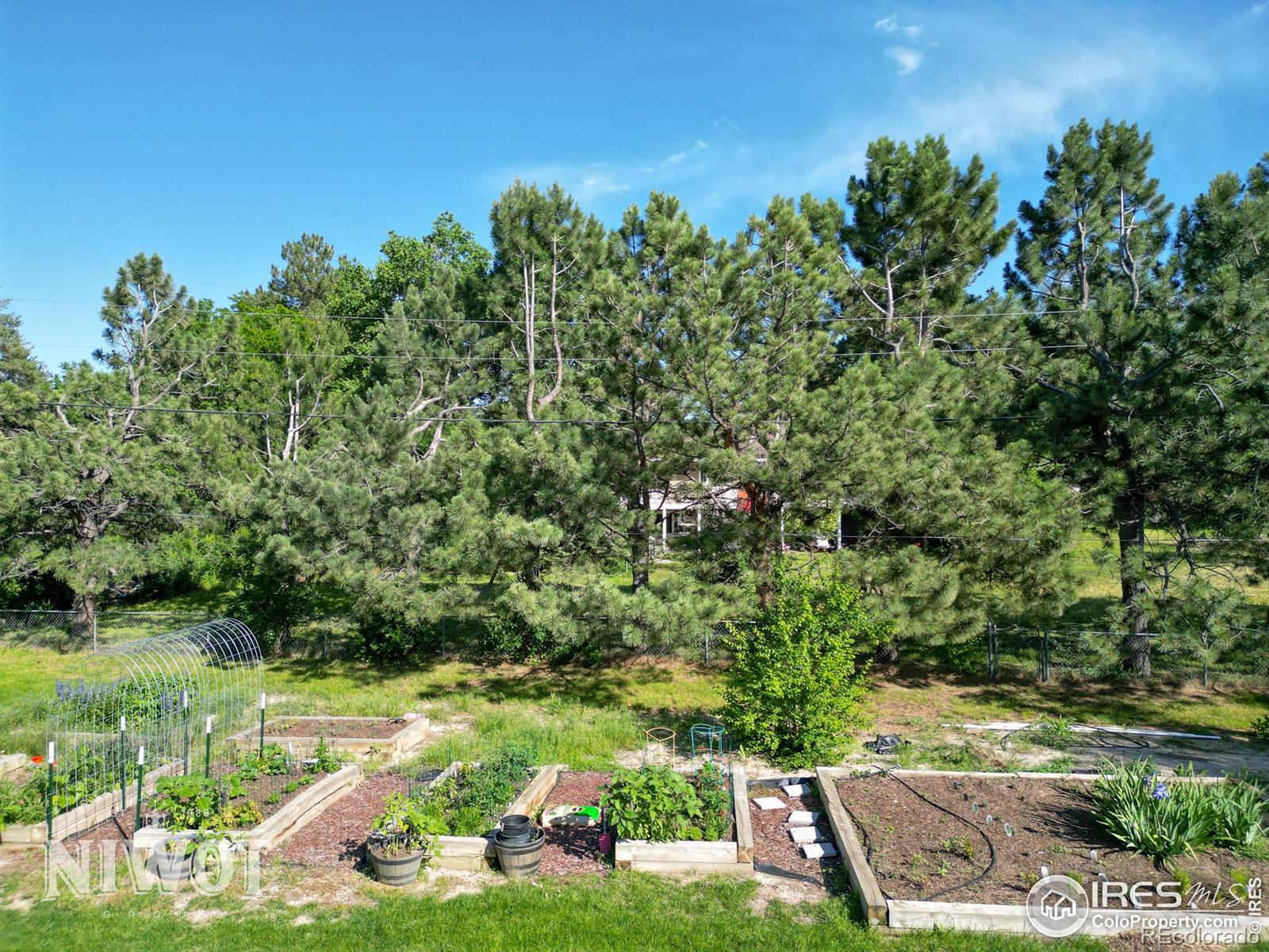 MLS Image #34 for 8858  marathon road,niwot, Colorado