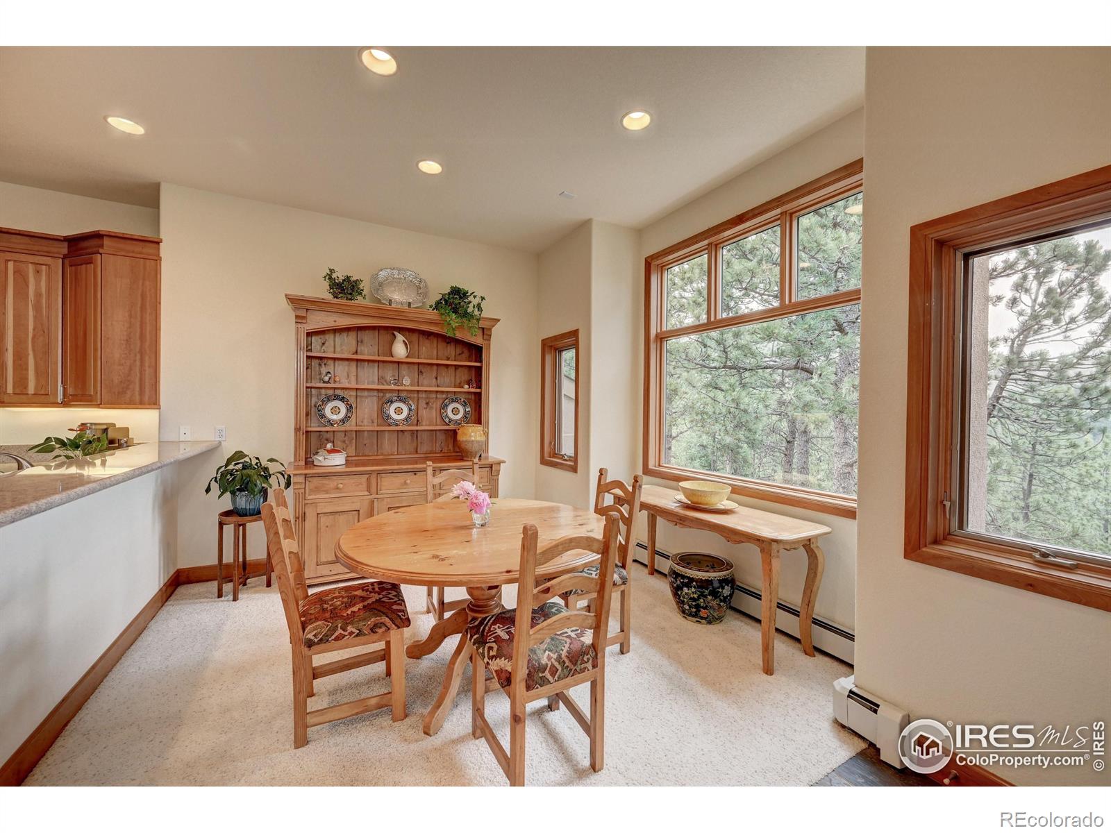 MLS Image #12 for 6138  sunshine canyon drive,boulder, Colorado