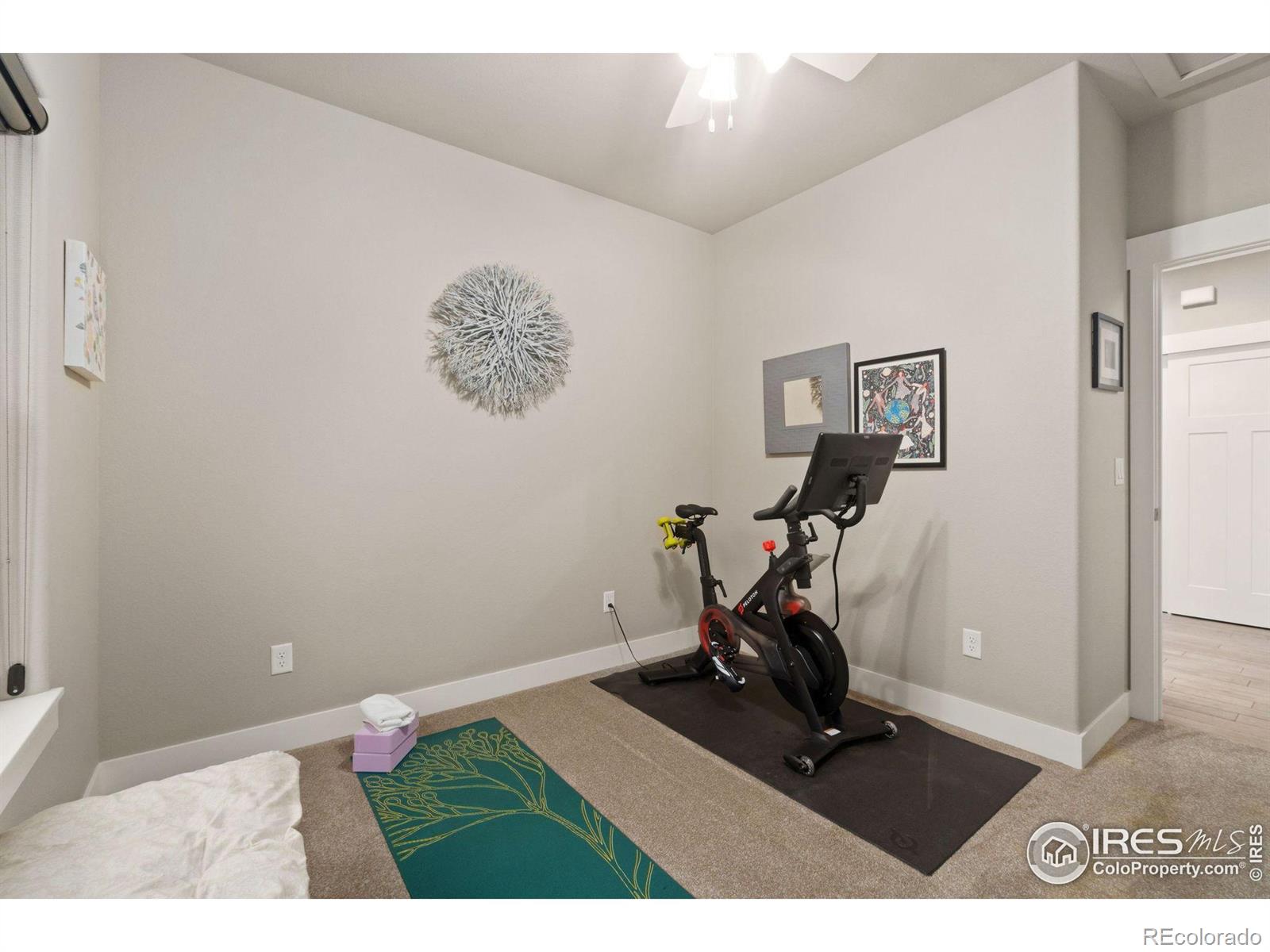 MLS Image #17 for 1741  nucla court,loveland, Colorado