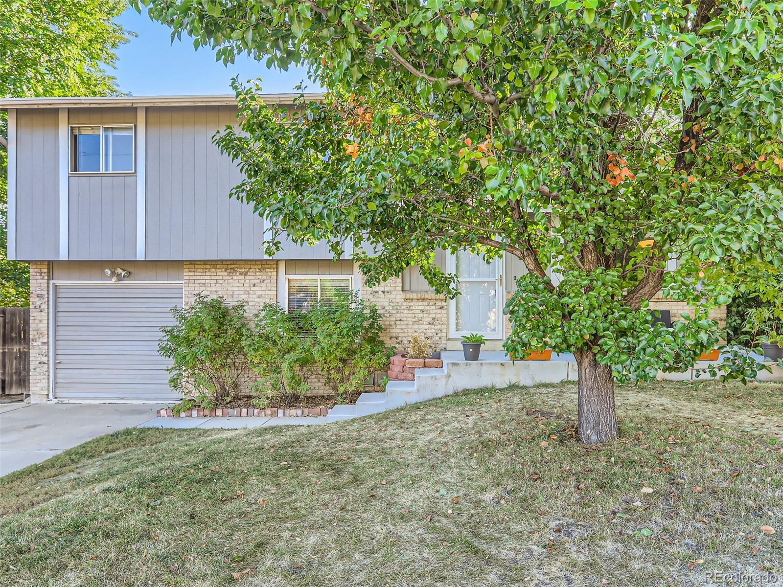 Report Image for 7482  Pierce Street,Arvada, Colorado