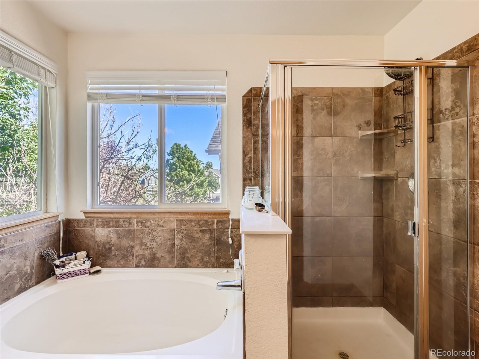 MLS Image #19 for 307  cherry street,castle rock, Colorado