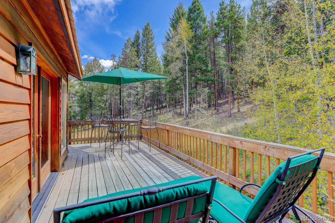 MLS Image #26 for 264 n fork road,grant, Colorado