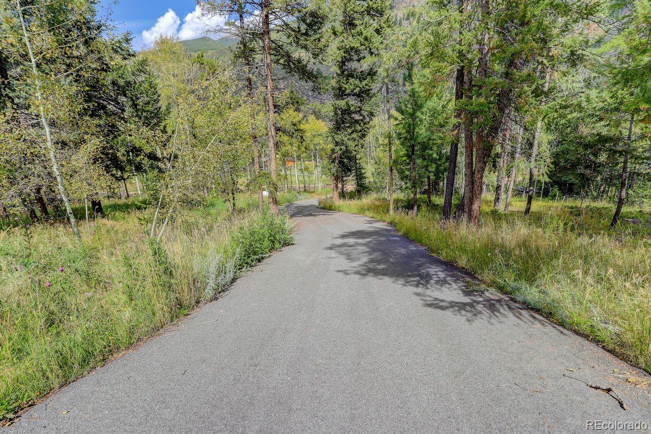 MLS Image #32 for 264 n fork road,grant, Colorado