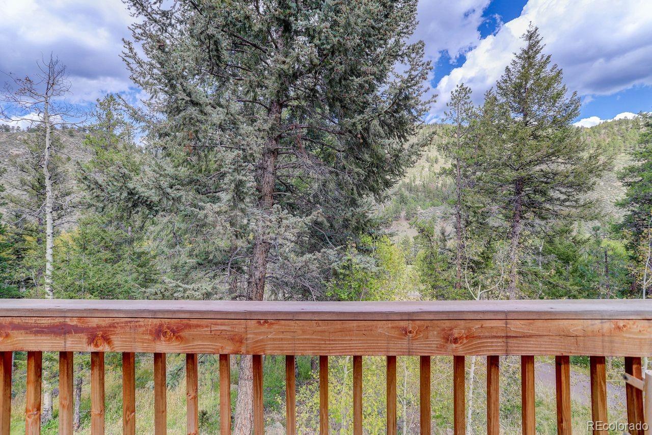 MLS Image #33 for 264 n fork road,grant, Colorado