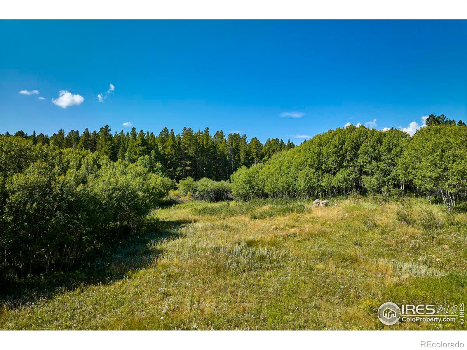 MLS Image #15 for 131  ponderosa way,nederland, Colorado