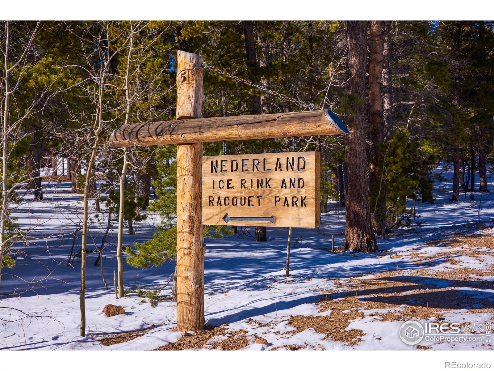 MLS Image #22 for 131  ponderosa way,nederland, Colorado