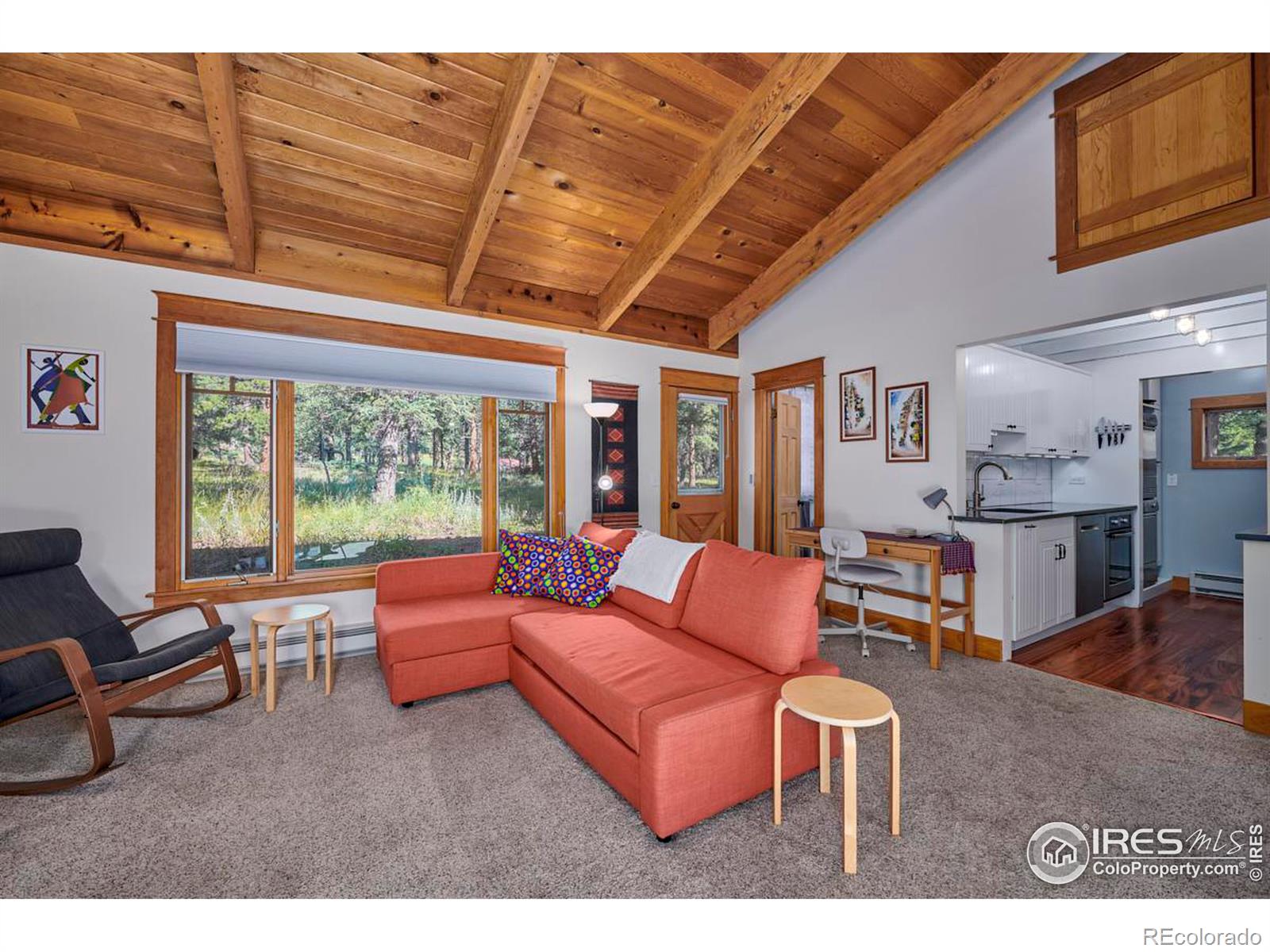 MLS Image #4 for 131  ponderosa way,nederland, Colorado