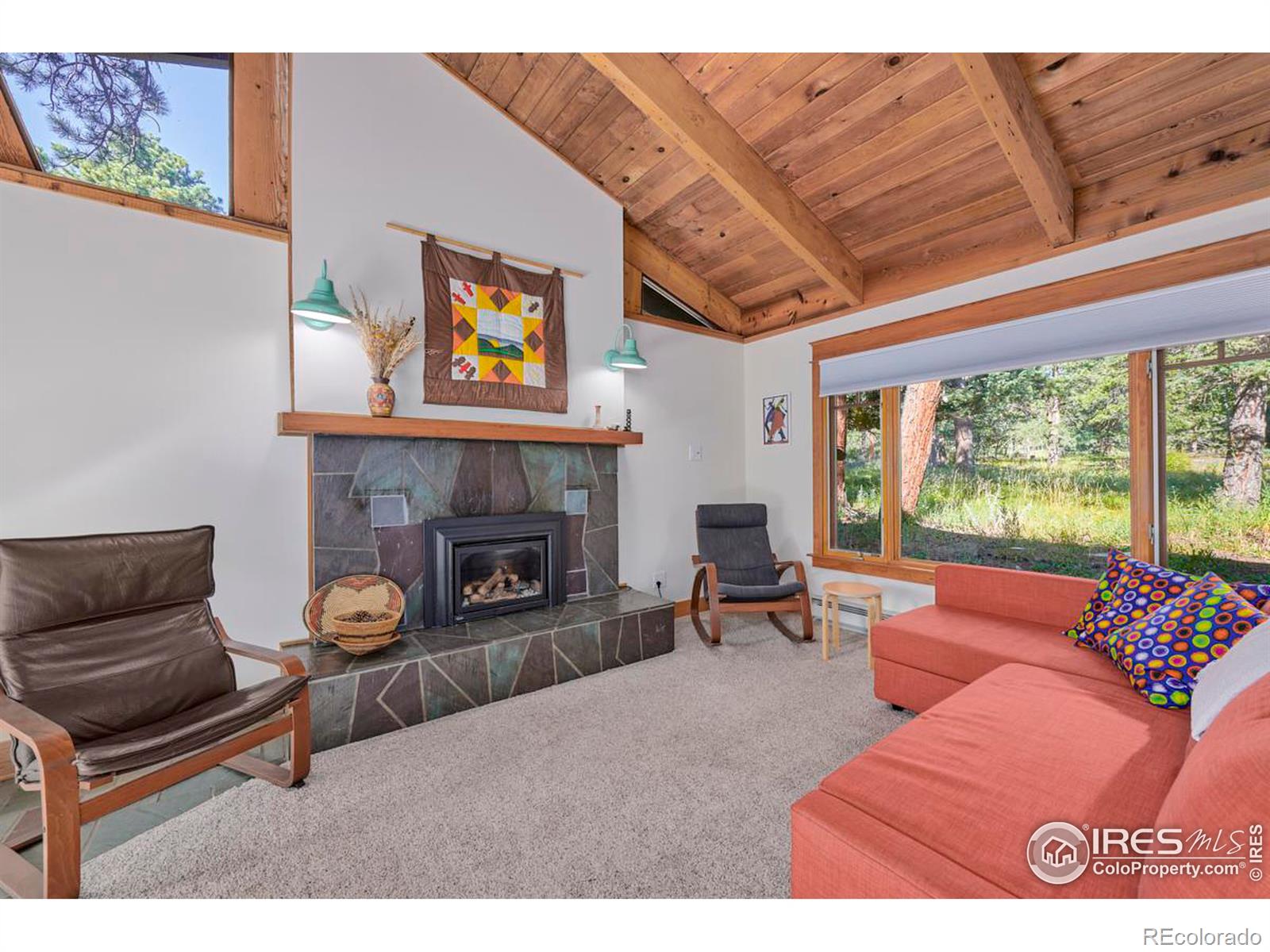 MLS Image #5 for 131  ponderosa way,nederland, Colorado