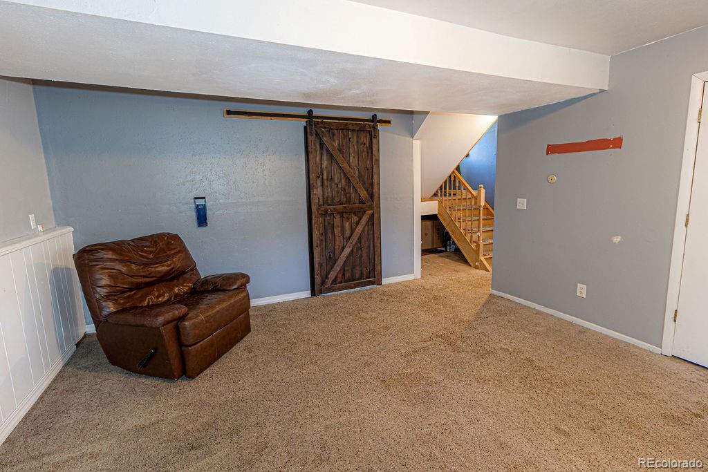 MLS Image #15 for 368 s pine street,hayden, Colorado