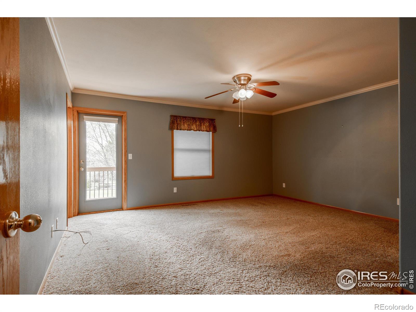 MLS Image #11 for 4445  crane court,loveland, Colorado